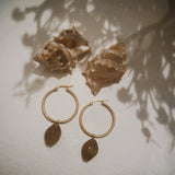 Shell Hoops